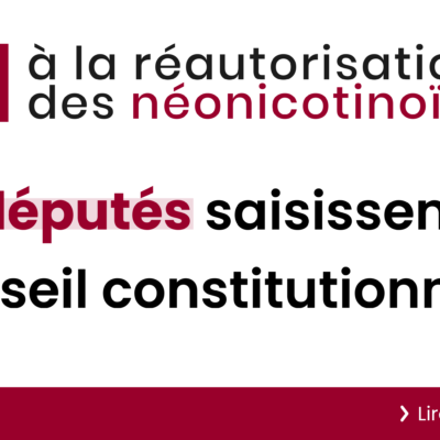 Réintroduction des néonicotinoïdes et filière de la betterave : recours et plan B !