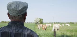 Quelle réforme pour les retraites agricoles ?