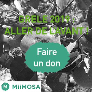 Grêle 2019 : faîtes un don pour les agriculteurs ardéchois !