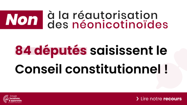 Réintroduction des néonicotinoïdes et filière de la betterave : recours et plan B !